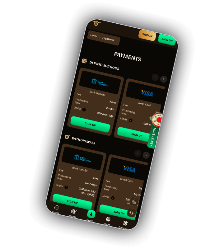 The AmunBet cashier with cards, bank routes and coin balances side by side